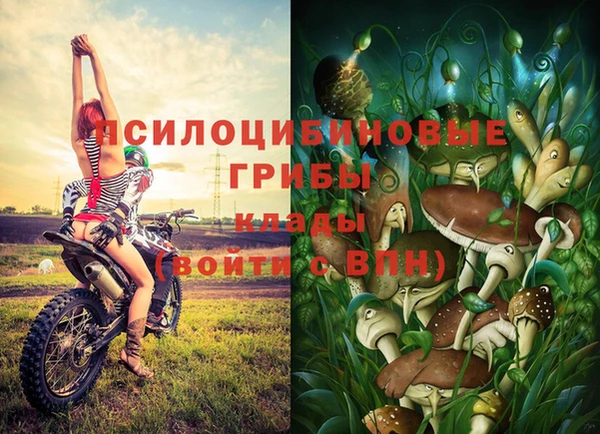 марихуана Богородицк