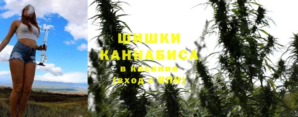 тгк Богородск