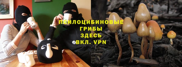 тгк Богородск