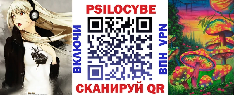 Псилоцибиновые грибы Cubensis  цена   Дорогобуж 