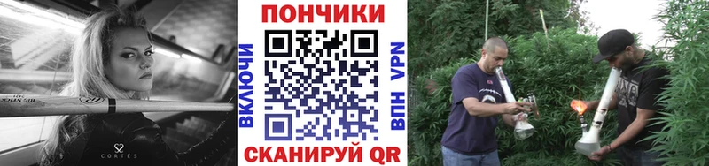 Шишки марихуана ГИДРОПОН  omg сайт  Дорогобуж 